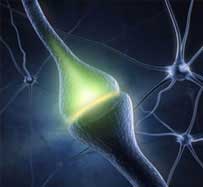 Stem Cell Therapy for Peripheral Neuropathy in Midland Park, NJ